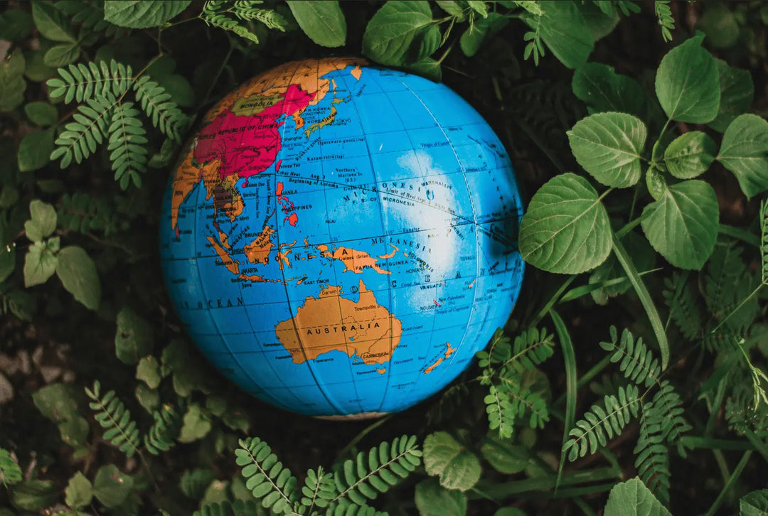 Small globe surrounded by green leaves